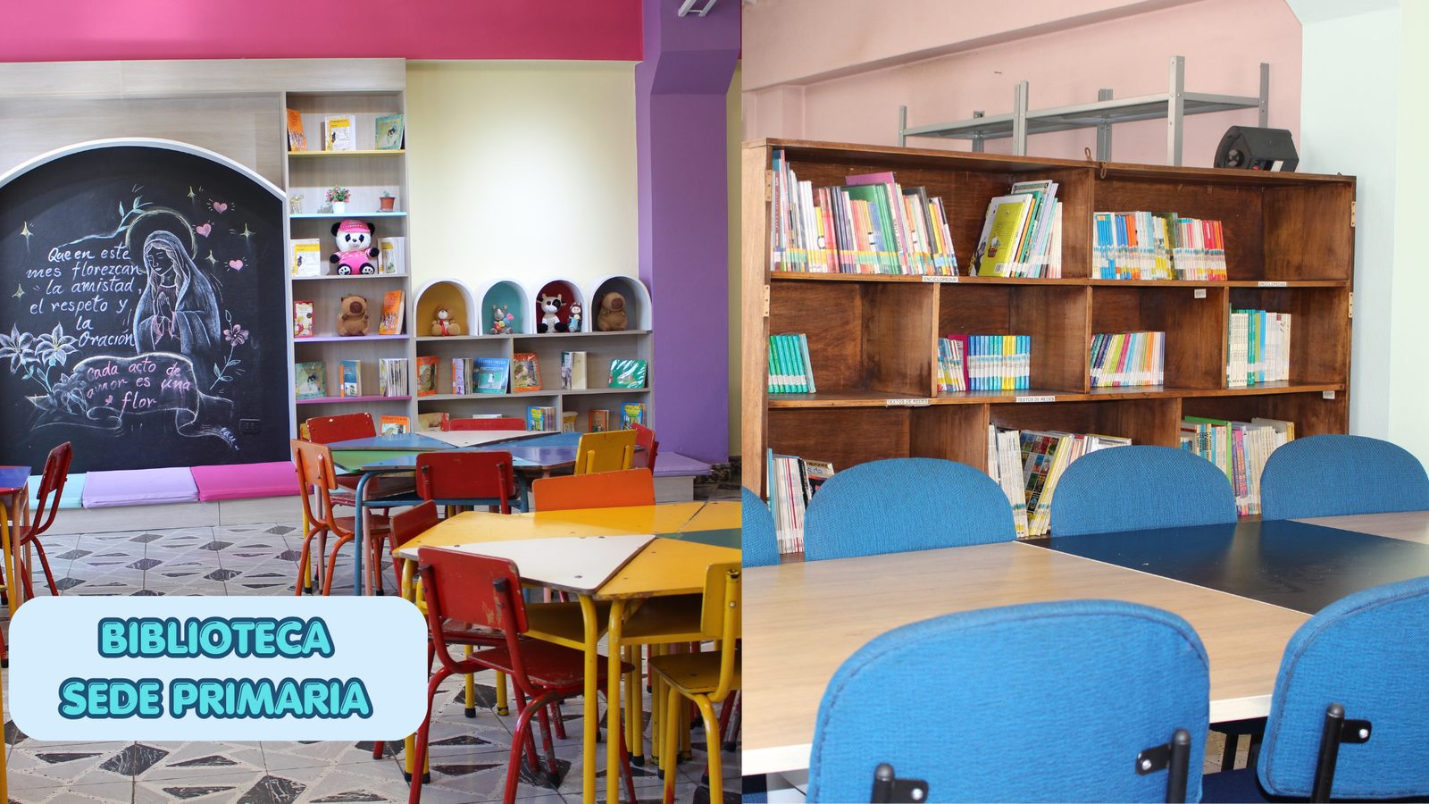 Biblioteca de la sede primaria